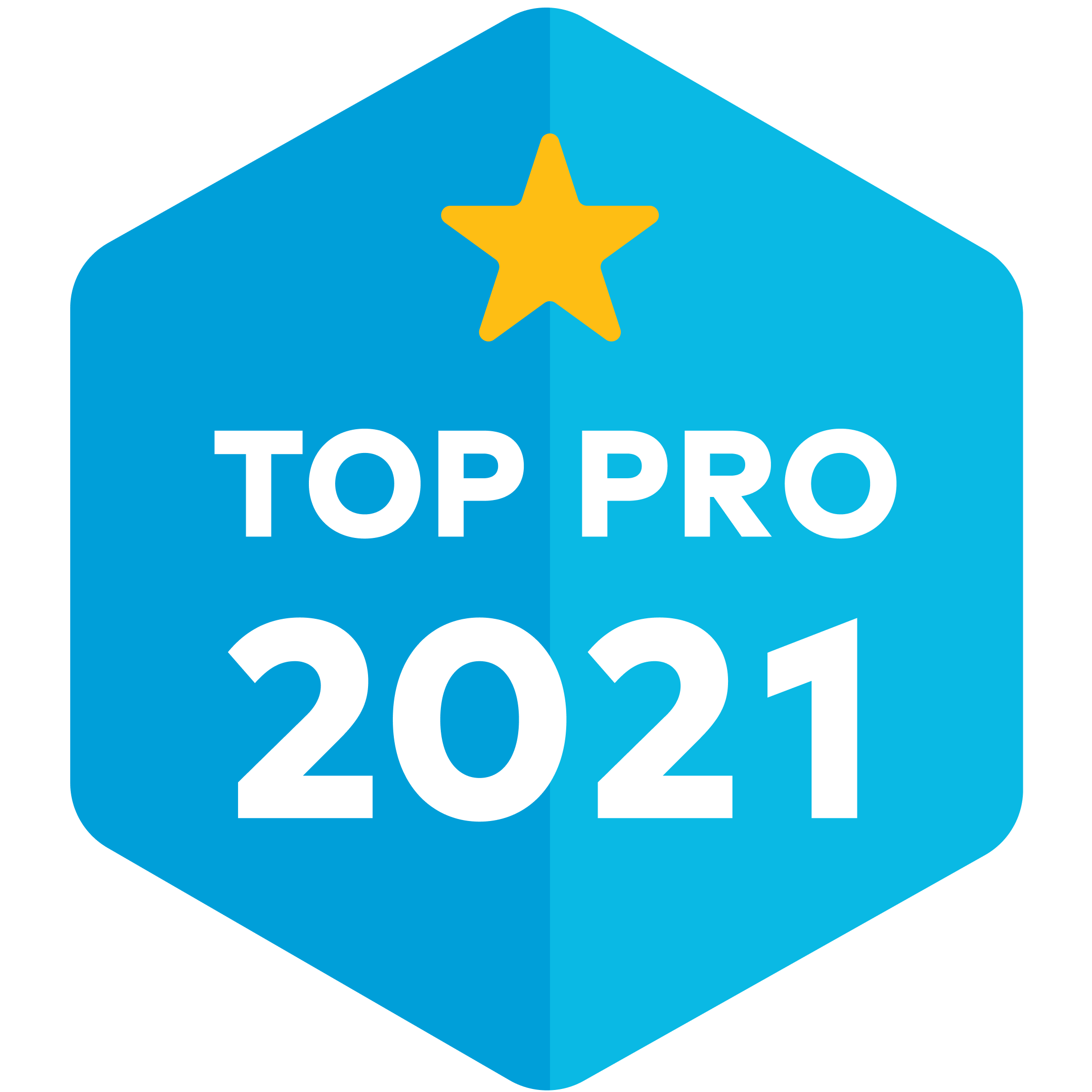 Top Pro 2021 Thumbtack